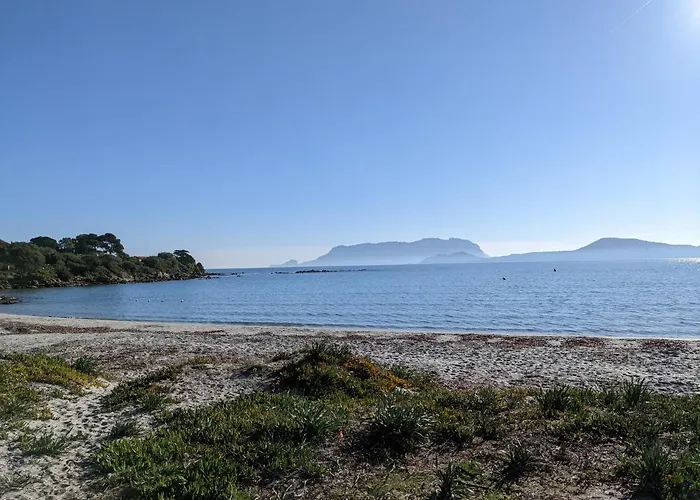Mariposa